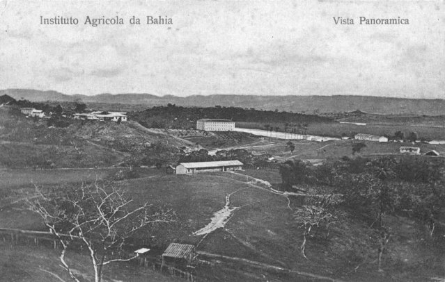 Vista panorâmica do instituto agrícola da Bahia, início do século XX